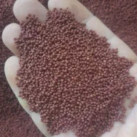 انواع غذای ماهی