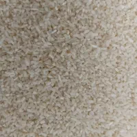 نیم دانه هاشمی سورتینگ|خوردنی و آشامیدنی|سنگر, |دیوار