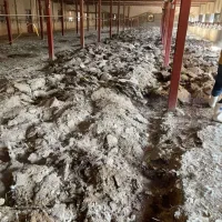 کود مرغی گوشتی