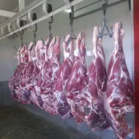 قصاب بیخص کار گاوی