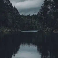 نیازمند 15 تومن پول