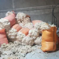 استخدام کارگر در چرمشهر