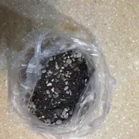 ظرف تراریوم گیاه و ماهی|ماهی|شیراز, دروازه قران|دیوار