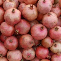 انار ساوه را از ما بخرید