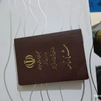 شناسنامه گم شده