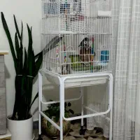 قعس بزرگ و یک جفت کوتوله|پرنده|قم, بوستان علوی|دیوار