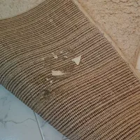 پادری رایگان|پادری|تهران, حکیمیه|دیوار