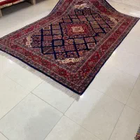 تک ۶متری شهربافت همدان گیاهی گوشتدار