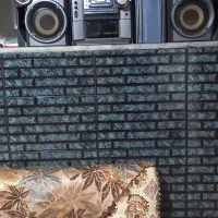 ضبط صوتی و تصویری