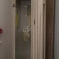 ساعت ایستاده درحدنو