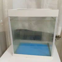 اکواریوم