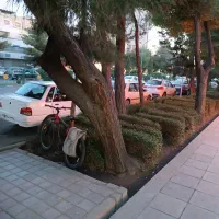 مغازه