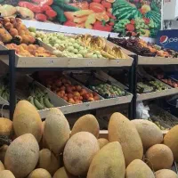 وسایل میوه فروشی