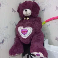 خرس عروسکی شاسخین