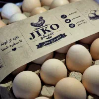تخم مرغ محلی