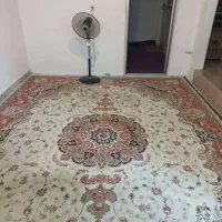 قالی در حد نو