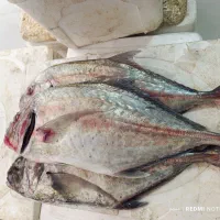 ماهی تازه. سفارشی صید روز.|خوردنی و آشامیدنی|سپیدان, |دیوار