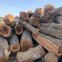 خریدار چوب گردو