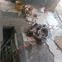 مکانیک و شاگرد جلوبندی کار یا مکانیک|استخدام صنعتی، فنی، مهندسی|مشهد, شریف|دیوار