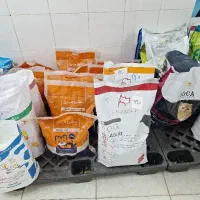 غذای خشک سگ و گربه