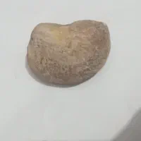 فروش|جواهرات|خوی, |دیوار