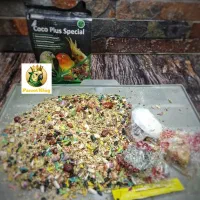 گرینچیک عروس هلندی مینا مرغ عشق کاسکو