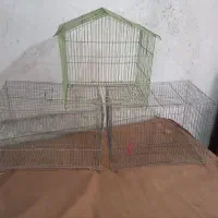 قفس پرنده