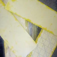 چسپ حشره گیر