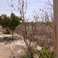 فروش-باغچه-500متری-در-نوده-دوم