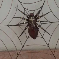 تابلو  عنکبوت|تابلو، نقاشی، عکس|تهران, درکه|دیوار