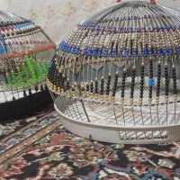 قفس پرنده دستی