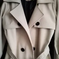 بارونی سانتانا تن خور شیک