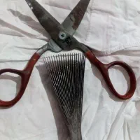 قیچی دف فرش دستباف