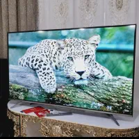 ال ای دی ۵۵فورکی اسمارت به قیمت ۴۳