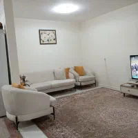 فرش دوازده متری در حد|فرش|تهران, زرکش|دیوار