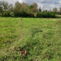 زمین مسکونی زراعی لولمان رودبارکی طارمسر|فروش زمین و ملک کلنگی|لولمان, |دیوار