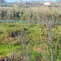 زمین مسکونی با ویو رودخانه|فروش زمین و ملک کلنگی|آستانه اشرفیه, |دیوار