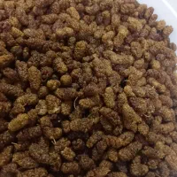 توت خشک وترشی لوبیا و قره بادنجان