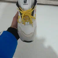 کتانی|کیف، کفش، کمربند|میانه, |دیوار