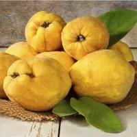 به خوش عطرو بو
