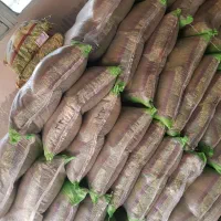 غزال وانبه شارژ مجدد اخرهفته