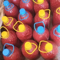 رب خانگی .درجه یک