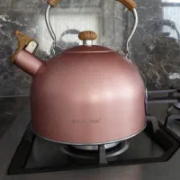 کتری استیل نو نو