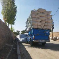 فروش کاه