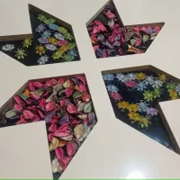 نیم ست 5نفره با میز وسط|مبلمان خانگی و میز عسلی|رشت, کاکتوس|دیوار