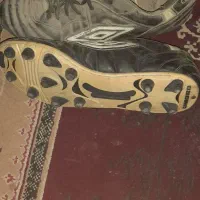 جفت کفش ورزشی چمنی