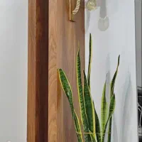 لوستر دیوارکوب|لوستر و چراغ آویز|بندرعباس, |دیوار