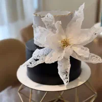 آماده پذیرایی از مراسم‌های عروسی تولد مهمانی