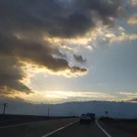 فروش-زمین-دیم