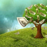 سرمایه گذاری و اعطای تسهیلات